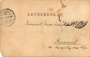 1899 Segesvár, Schässburg, Sighisoara; Der Rathhausthurm / Óratorony / Turnul cu Ceas / Clock Tower ...