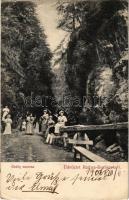 1906 Radnaborberek, Borberek-fürdő, Valea Vinului; Ördög szoros, kiránduló hölgyek. Kiadja Karácsonyi János /  Stramtoarea Dracului / hiking ladies at "The Devil's Strait" (EK)