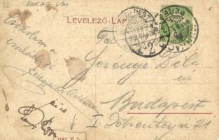 1908 Munkács, Mukacheve, Mukacevo; Városháza, Pannónia könyvnyomda, Rochlitz Róza, Grünfeld W. és Ro...