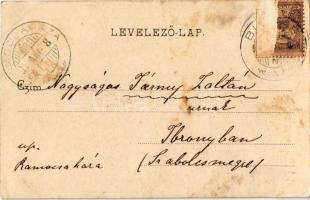 1901 Lugos, Lugoj; Görögkeleti ortodox templom. Kiadja Auspitz Adolf / Greek Orthodox church (fl)