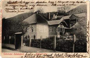 1914 Zalatna, Zlatna; Mihalovits villa. Kiadja Nagy Árpád / villa (lyuk / hole)