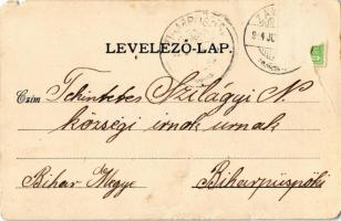 1914 Zalatna, Zlatna; Mihalovits villa. Kiadja Nagy Árpád / villa (lyuk / hole)