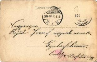 1904 Buziásfürdő, Buziás; Pavillon / étterem, pavilon. Huzly István kiadása / restaurant, pavilion (...