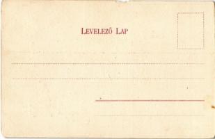 Belényes, Beius; Piac tér, üzletek / market square, shops (b)