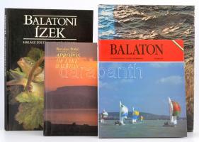 Balaton tétel: 4 db könyv, térképek, reklámok