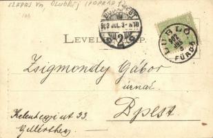 1902 Lubló-fürdő, Kúpele Lubovna; Erdőrészleti sétányok. Szeiffert Endre kiadása / forest promenades