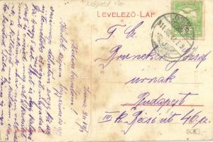 1911 Losonc, Lucenec; Királyi Járásbíróság. Werner Ernő kiadása / county court  (fl)