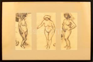 Horváth Lajos (1941-2019): Akt vázaltok (3 db). Szén, papír, jelzés nélkül, üvegezett keretben, 30×1...