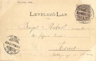 1900 Kolozsvár, Cluj; Rákóczy emlék. Dunky fivérek fényképészek kiadása / monument