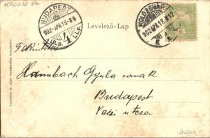 1902 Kolozsvár, Cluj; Szent Mihály templom, piac. magyar zászlós litho keret. Fuhrmann M. kiadása / ...