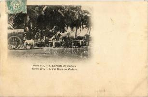 1906 La route de Madura / The Road to Madura, ox cart, Indian folklore