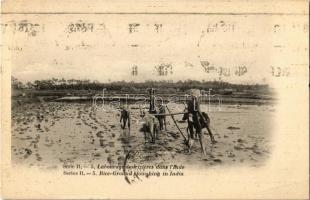 1929 Labourage des rizieres dans lInde / Rice-ground ploughing in India, folklore