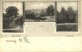 1911 Felsőrajk, Bakó (?) Kastély, Fenyősátor, Nagy Hársfa