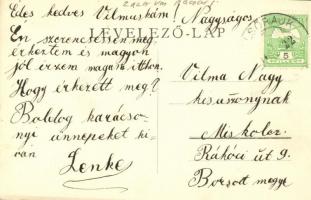 1911 Felsőrajk, Bakó (?) Kastély, Fenyősátor, Nagy Hársfa