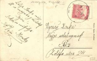 Felsősegesd (Segesd), Gróf Széchenyi kastély télen. Weiler Samu kiadása