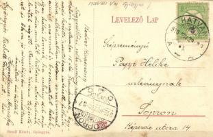 1910 Gyöngyös, Kékestető, Mátratorony. Bendl Károly kiadása