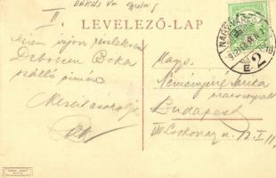 1912 Gyula, Gróf Almásy Dénes kastélya. Dobay János kiadása