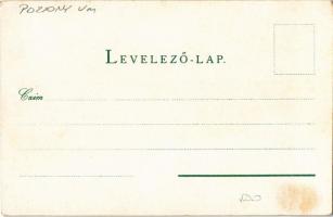 Pozsony, Pressburg, Bratislava; vár, gőzhajó. Kiadja J. Wohlmuth / castle, steamship (fl)