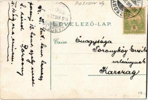 1905 Pozsony, Pressburg, Bratislava; vár, gőzhajó / castle, steamship (vágott / cut)