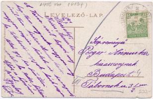 1918 Rózsahegy, Ruzomberok; Willinger nyaralók, villák. Kiadja Valuch János 4. / Willingerovské vily...