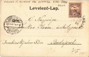 1900 Rimaszombat, Rimavská Sobota; Takarékpénztár, Városháza. Kiadja Lévai Izsó / savings bank, town...