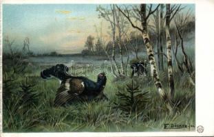 Birds Litho s: F. Döcker