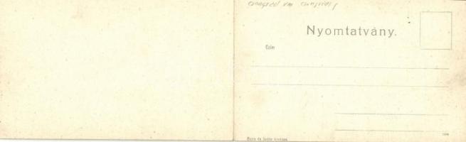 Csongrád, látkép madártávlatból,  Tóbiás Herman üzlete, bor, sör és pálinka mérés, Mészárszék. Kinyi...