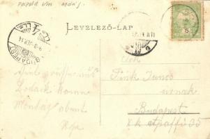 Bodajk, Kálvária, legelő juhnyáj  (EK)