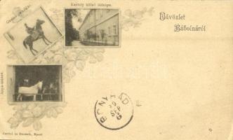 1899 Bábolna, Kastély külső része, Anya ménes, Gazlán csikós ló. Czettel és Deutsch, Art Nouveau (EK)
