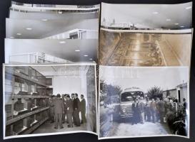 1960 Firenze, Vadászati Világkiállítás 35 db fotó. Sajtófotók, részben feliratozva. 12x18 és 24x18 c...