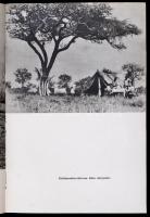 Széchényi Zsigmond: Afrikai tábortüzek.Vadásznapló kivonatok 1932-1934. Dedikált, Gosztonyi Géza (19...