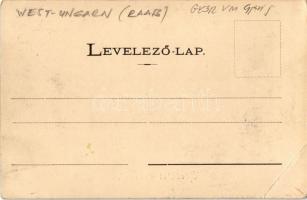 Győr, Újváros és Sziget, hidak, zsinagóga, izraelita templom, Tolnay Imre üzlete. Kiadja Berecz Vikt...