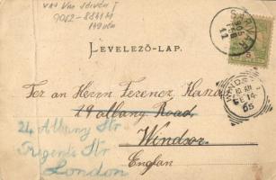 1905 Sárvár, Vár és park, Lawn tennis tér, tenisz pálya teniszezőkkel. Strauz János kiadása, Art Nou...