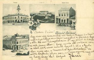 1900 Siklós, Városháza, vár, Központi szálloda és kávéház, Takarék és Hitelegylet, piac, üzletek. floral