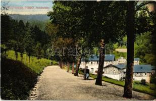 1913 Feketehegy-fürdő, Cernohorské kúpele (Merény, Nálepkovo); Felső sétány / promenade