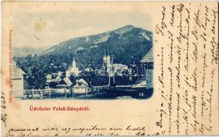 1899 Felsőbánya, Baia Sprie; Divald (vágott / cut)