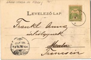 1903 Füzér, Gróf Károlyi László Birtokán fekvő várromok. W. Eperjesi Károly amateur-felvétele