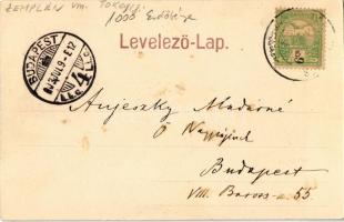 1903 Erdőbénye, Üdvözlet a Hegyaljáról. Kiadja Lövy Adolf 6132