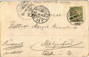 1902 Herkulesfürdő, Baile Herculane; Ferenc József I. Károly román és I. Sándor szerb királlyal való...