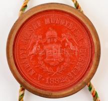 Vegyészmérnök diploma szépen megmaradt viaszpecséttel Rados Gusztáv és Daday Jenő akadémikusok aláír...