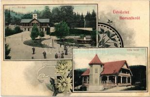 1911 Borszék, Borsec; Fő kút, Villa Szini / main spring, villa. Art Nouveau