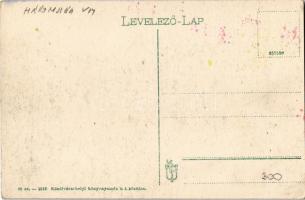 Bodzai-szoros, Buzau Pass; Magyar-román határ. Kézdivásárhelyi könyvnyomda kiadása / Hungarian-Roman...