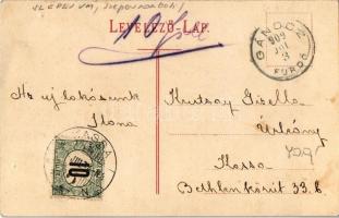 1909 Gánóc-gyógyfürdő, Kúpele Gánovce, Gansdorf; Budapest nyaraló / villa