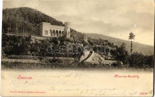 1900 Csucsa, Ciucea; Boncza kastély. Dunky Fivérek kiadása / castle