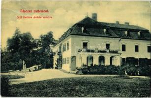Bethlen, Beclean; Gróf Bethlen András kastélya. W.L. 1894. / castle