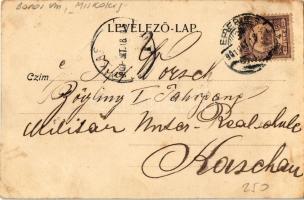 1901 Diósgyőr (Miskolc), Diósgyőri várrom. Kiadja Ferenczi B. 2057. (fl)