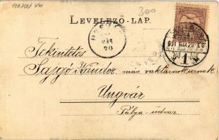 1901 Debrecen, Csokonai szobor. Kiadja Telegdi K. Lajos utóda