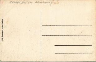 Homonna, Homenau, Humenné; Andrássy Sándor gróf várkastélya / castle