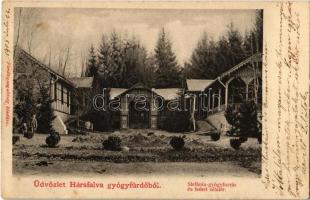 1905 Hársfalva-gyógyfürdő (Szolyva), Nelipino, Nelipyno; Stefánia gyógyforrás és fedett sétatér / spring and colonnade