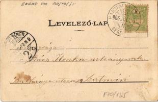 1905 Hársfalva-gyógyfürdő (Szolyva), Nelipino, Nelipyno; Stefánia gyógyforrás és fedett sétatér / sp...